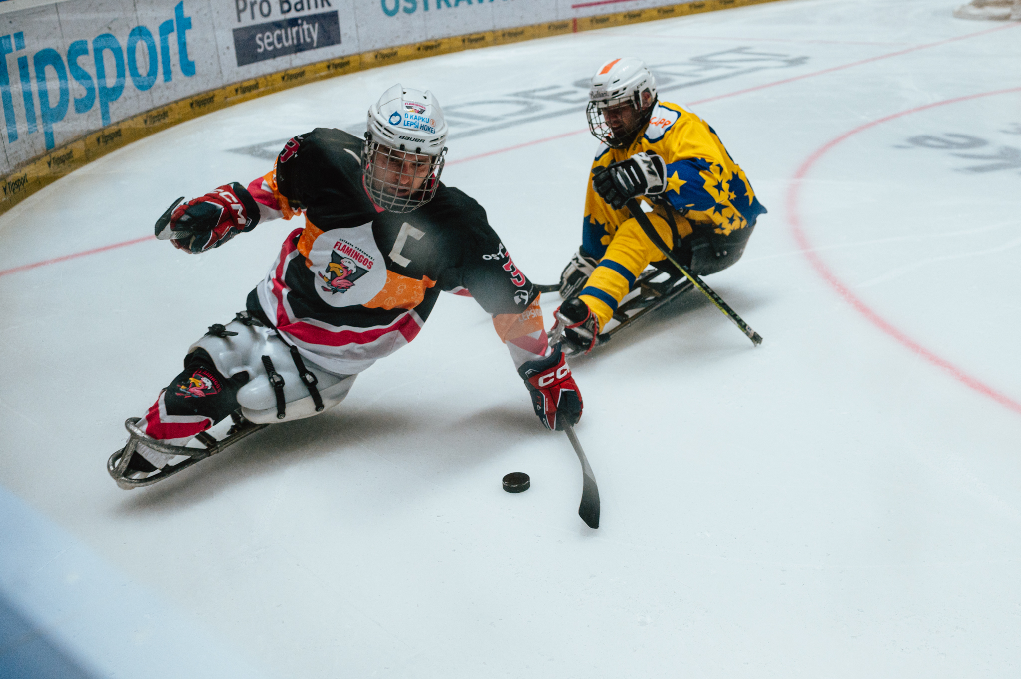 Flamingos Ostrava